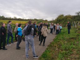 Weinfest Bockenheim 2019